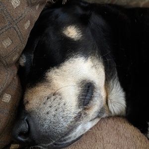 Meet your Posher, Kyle